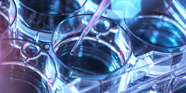 응용화학연구소 관련 사진